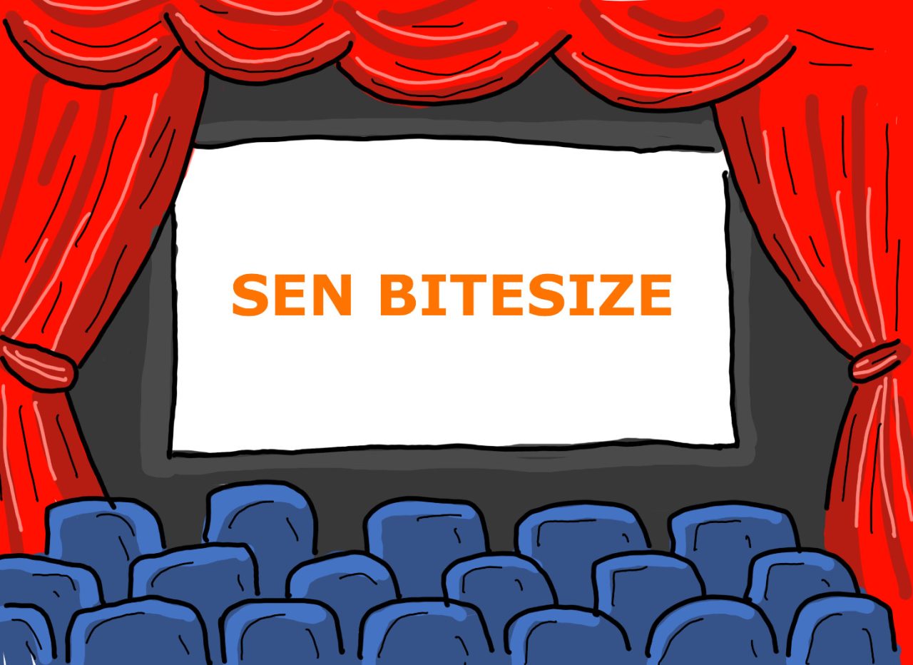 SEN BITESIZE - Sen4You